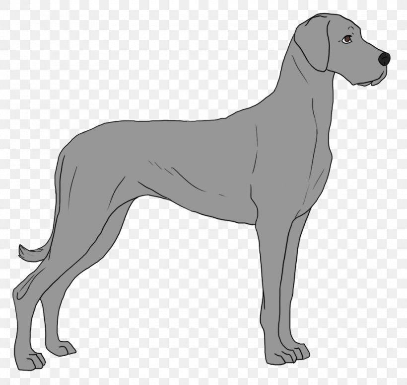 Ancient Dog Breeds Great Dane Sloughi Sporting Group, PNG, 920x869px, Dog Breed, Ancient Dog Breeds, Breed, Carnivoran, Dog Download Free