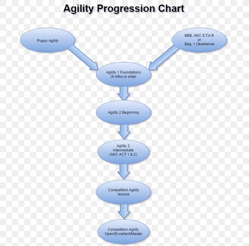 Chart Dog Training Obedience Trial Dog Agility, PNG, 689x809px, Chart, American Kennel Club, Diagram, Dog, Dog Agility Download Free