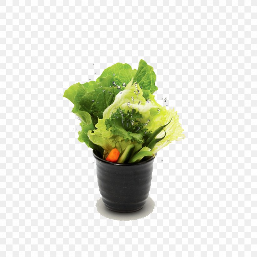 Korean Cuisine Lettuce Chinese Cabbage Vegetable Food, PNG, 999x999px, Korean Cuisine, Bibigo Fresh Korean Kitchen, Bok Choy, Braising, Carrot Download Free