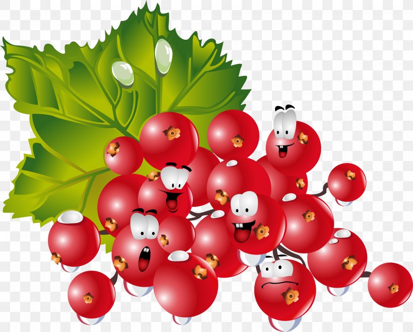 Fruit Clip Art, PNG, 3446x2774px, Fruit, Aquifoliaceae, Aquifoliales, Auglis, Berry Download Free