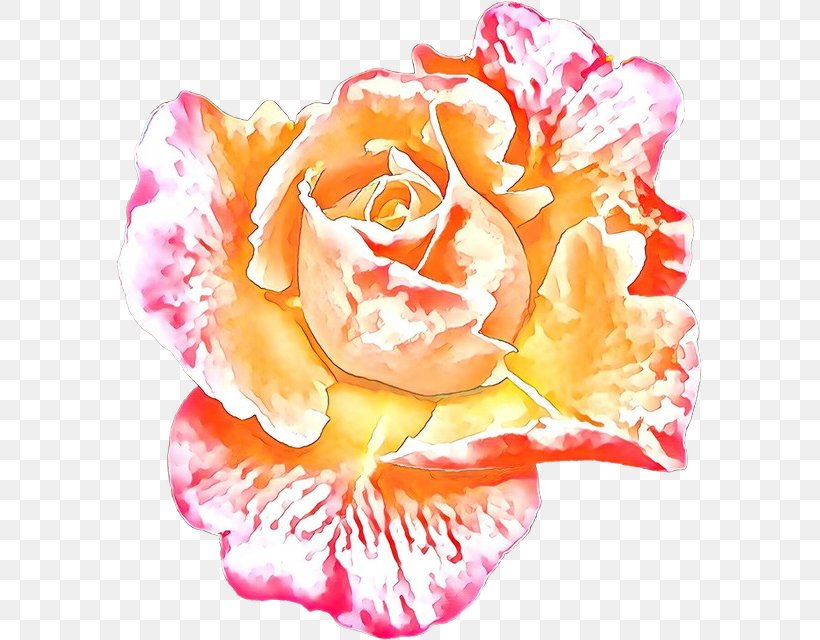 Flower Art Watercolor, PNG, 585x640px, Cartoon, Art, Birth Flower, Cabbage Rose, Carnation Download Free