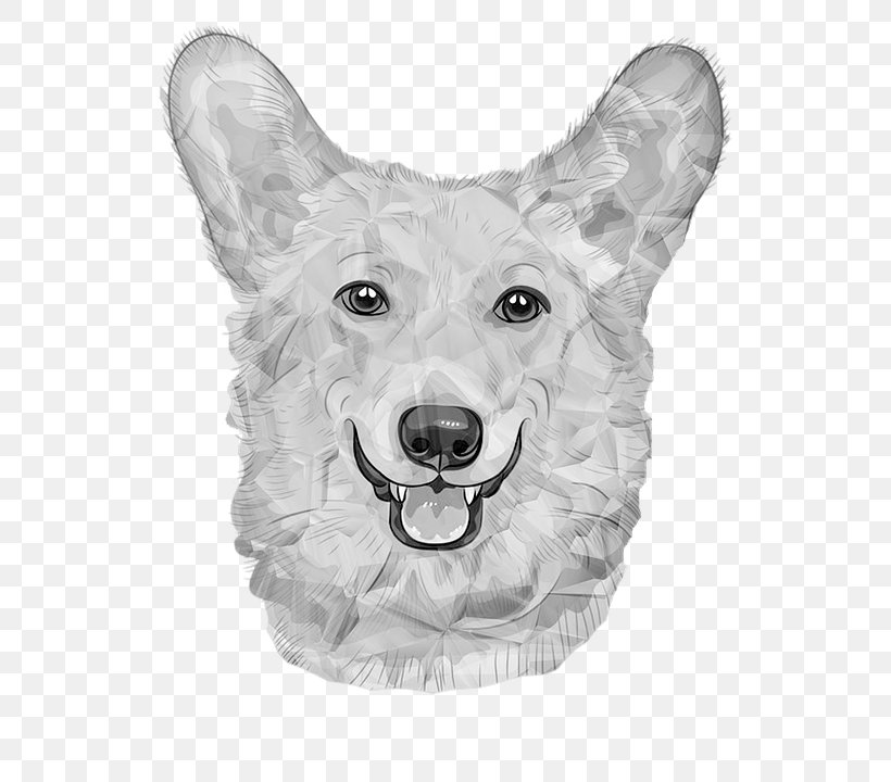 Great Dane Pembroke Welsh Corgi White Shepherd Dog Breed, PNG, 600x720px, Great Dane, Black And White, Breed, Carnivoran, Color Download Free