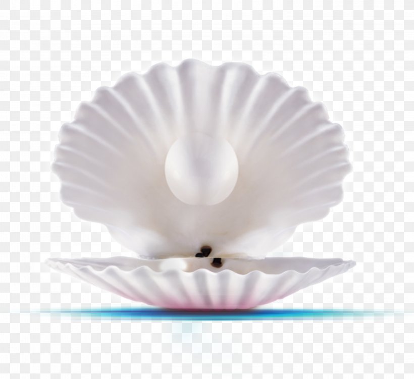 Pearl Commerce Shop JD.com Seashell, PNG, 2953x2706px, Pearl, Cash Register, Commerce, Customer, Distribution Download Free