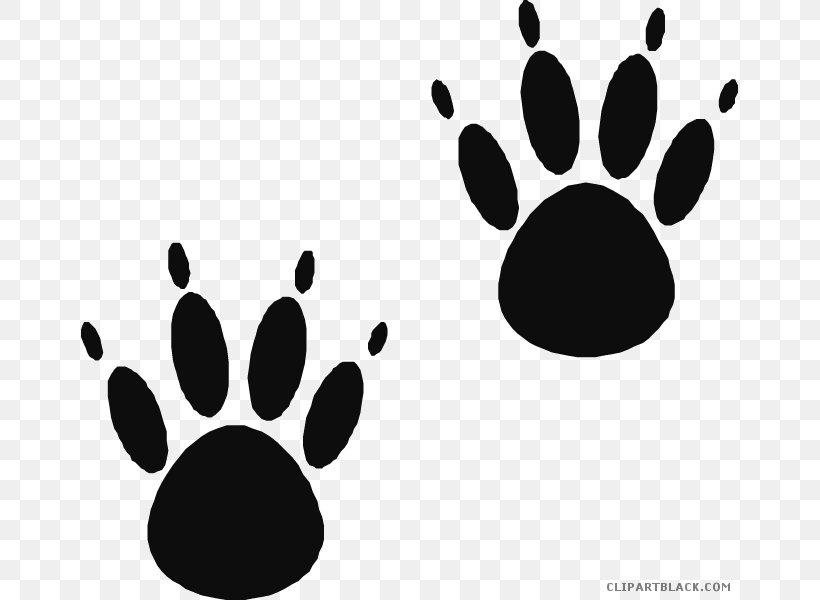 American Black Bear Paw Clip Art Cat, PNG, 660x600px, Bear, American Black Bear, Animal Track, Black, Black And White Download Free