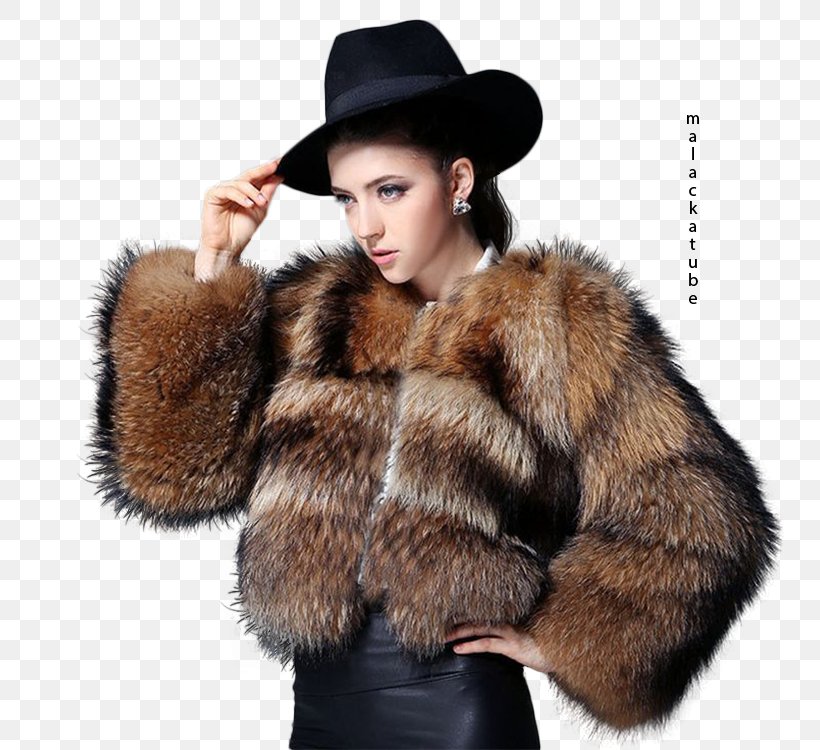 Fur Clothing Coat Jacket, PNG, 750x750px, Fur, Clothing, Clothing Accessories, Coat, Fashion Model Download Free