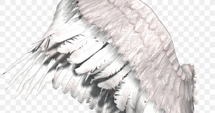 DevIL Clip Art, PNG, 1200x630px, Devil, Aile, Beak, Bird, Bird Of Prey Download Free