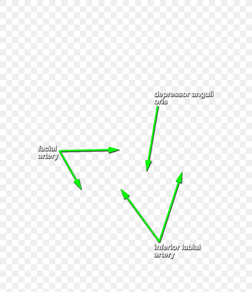 Line Point Angle Diagram, PNG, 631x950px, Point, Area, Diagram, Grass, Green Download Free
