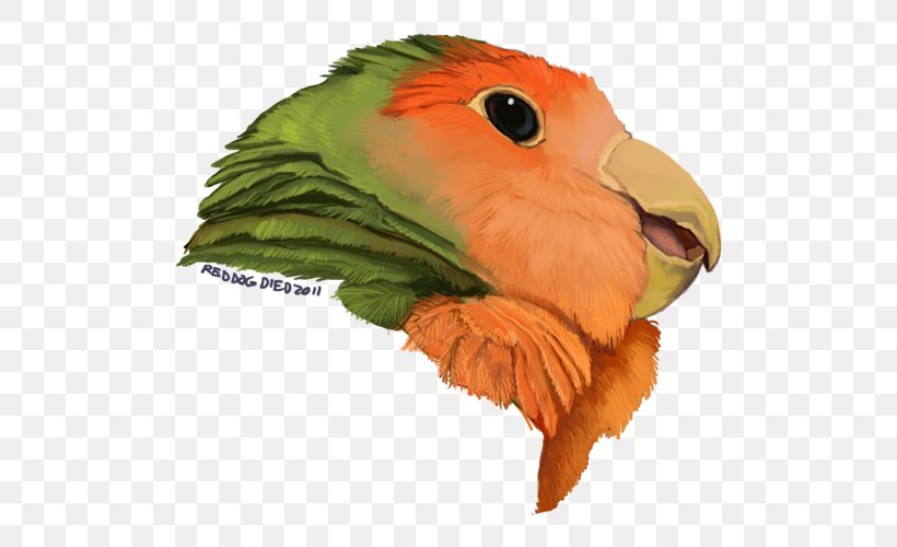 Macaw Drawing Mask Parakeet Beak, PNG, 500x500px, Macaw, Airbrush, Beak, Bird, Common Pet Parakeet Download Free