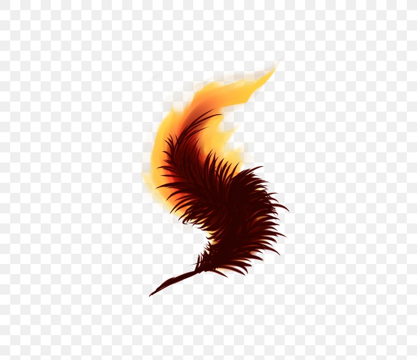 Phoenix Fenghuang DeviantArt Fan Art, PNG, 708x709px, Phoenix, Art, Beak, Close Up, Cutie Mark Crusaders Download Free