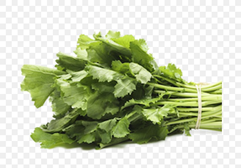 Coriander Spring Greens Vegetarian Cuisine Parsley Rapini, PNG, 690x572px, Coriander, Food, Herb, La Quinta Inns Suites, Leaf Vegetable Download Free