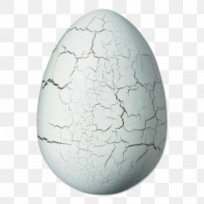 Egg - Egg Velociraptor Stegosaurus Triceratops Brachiosaurus PNG