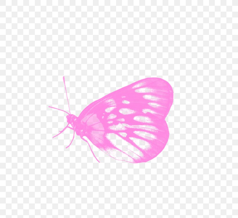 Graphic Computer Wallpaper, PNG, 750x750px, Graphic, Batch Processing, Book, Butterfly, Butterfly Effect Download Free