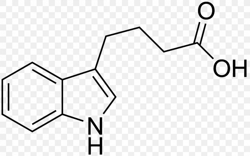 Indole-3-acetic Acid Indole-3-butyric Acid Auxin Plant Hormone, PNG, 1200x752px, Indole3acetic Acid, Acid, Area, Auxin, Biology Download Free