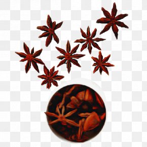 Sweet Gum Flower - Star Background PNG