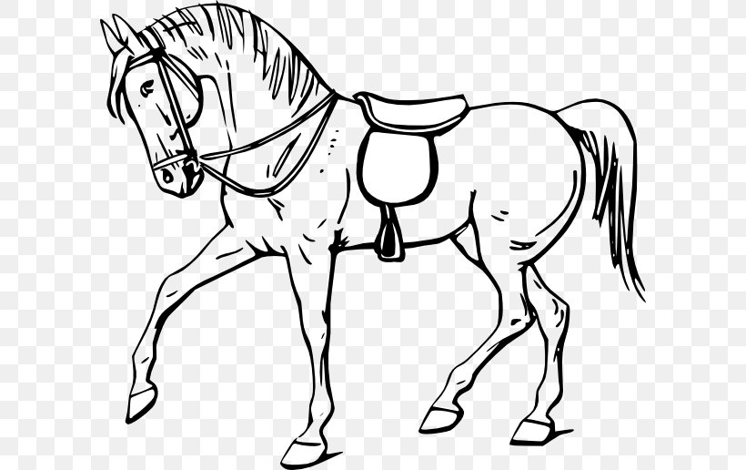 Tennessee Walking Horse Drawing Coloring Book Clip Art, PNG, 600x516px, Tennessee Walking Horse, Animal Figure, Artwork, Bit, Black And White Download Free