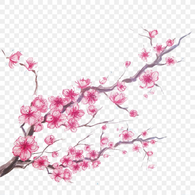 Cherry Blossom, PNG, 1024x1024px, Cherry Blossom, Advertising, Blossom, Branch, Cartoon Download Free