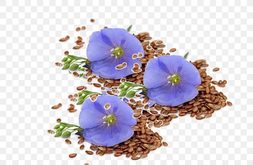 Flax Seed Stock Photography Flower Food, PNG, 719x536px, Flax, Artificial Flower, Blood, Body, Chemical Element Download Free