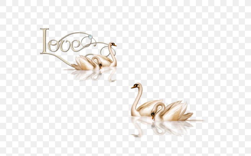 Goose Mute Swan Black Swan Clip Art, PNG, 700x508px, Goose, Beak, Bird, Black Swan, Body Jewelry Download Free