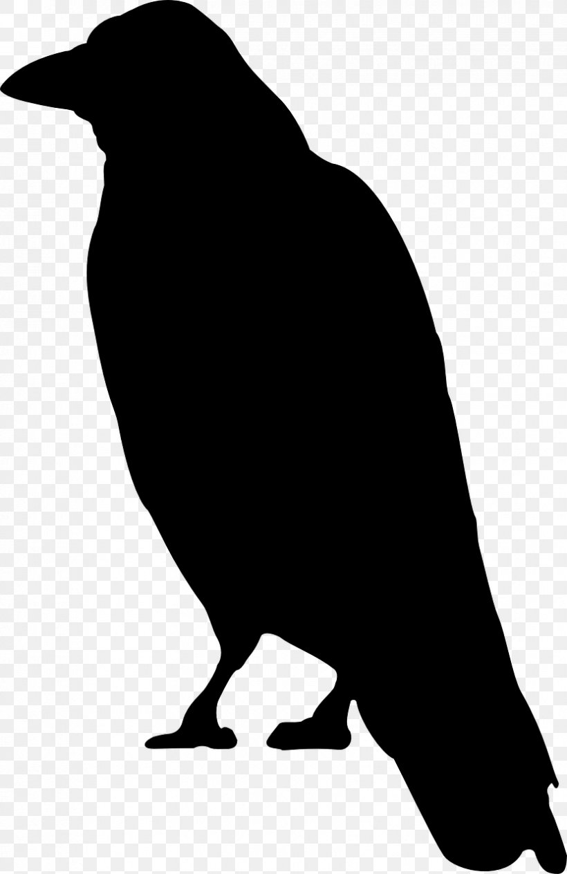 Crow Cartoon Clip Art, PNG, 830x1280px, Crow, Art, Beak, Bird, Black And White Download Free