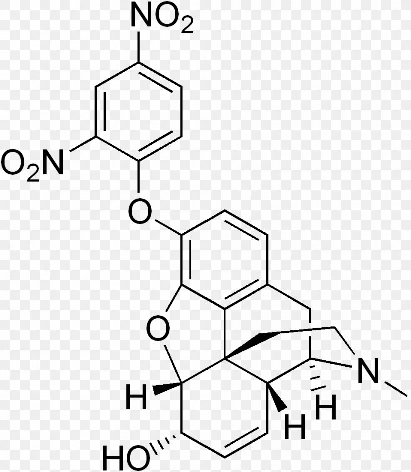 N-Phenylacetyl-L-prolylglycine Ethyl Ester Dietary Supplement Opioid Nootropic Pharmaceutical Drug, PNG, 956x1100px, Dietary Supplement, Area, Black And White, Butorphanol, Chemical Substance Download Free