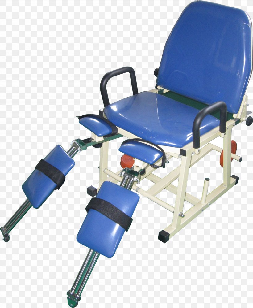 Hip Joint Chair, PNG, 3620x4396px, Hip, Chair, Fauteuil, Fruit, Joint Download Free