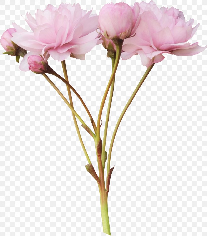 Pink Flowers Rose Clip Art, PNG, 1310x1497px, Flower, Artificial Flower, Carnation, Color, Cut Flowers Download Free