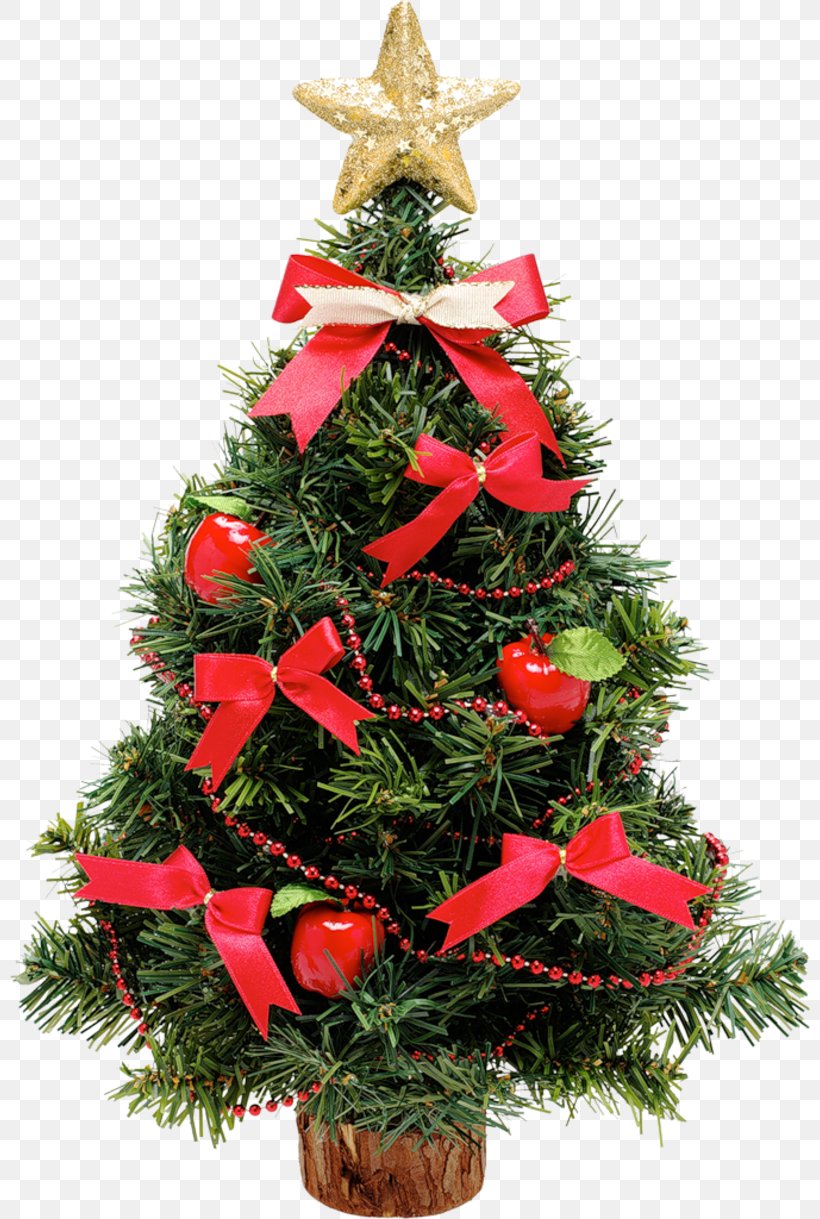 Christmas Tree Santa Claus Christmas Decoration, PNG, 800x1219px, Christmas Tree, Christmas, Christmas Decoration, Christmas Ornament, Conifer Download Free