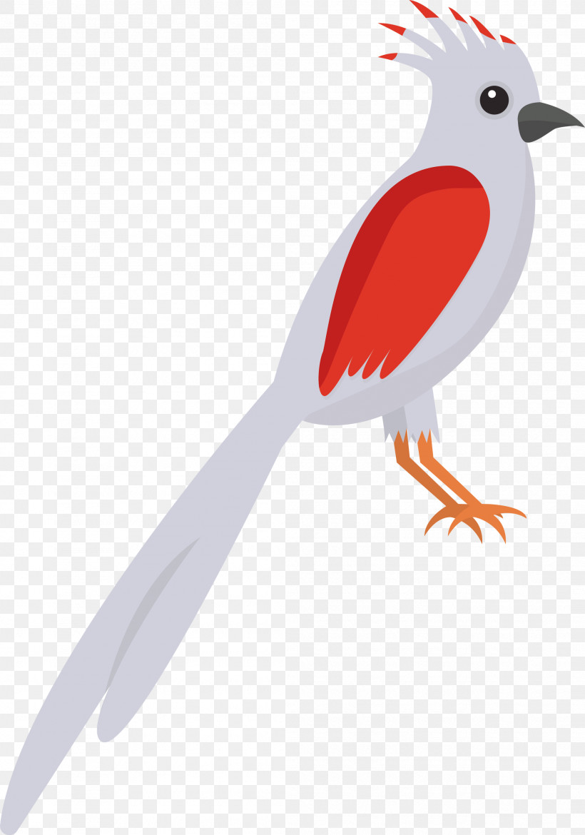 Feather, PNG, 2101x3000px, Cartoon Bird, Beak, Biology, Birds, Cute Bird Download Free