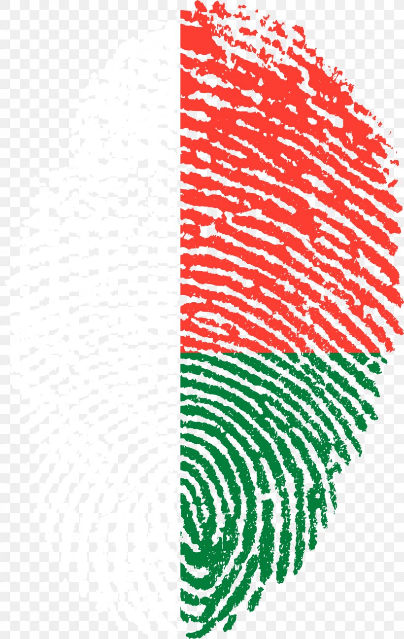 Flag Of The Philippines Flag Of Ukraine Fingerprint, PNG, 1573x2488px, Philippines, Area, Fingerprint, Flag, Flag Of Azerbaijan Download Free