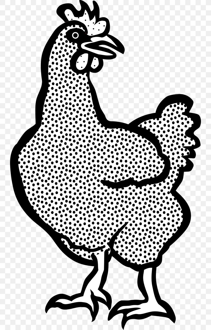 Plymouth Rock Chicken White-faced Black Spanish Rooster Drawing Hen, PNG, 742x1280px, Plymouth Rock Chicken, Area, Art, Artwork, Beak Download Free