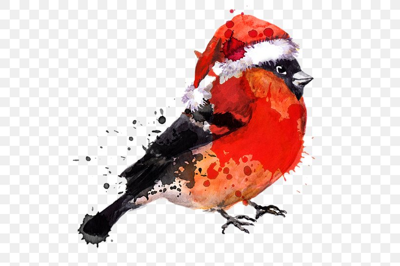Bird Watercolor Painting Drawing, PNG, 562x547px, Bird, Beak, Cardinal, Drawing, Eurasian Bullfinch Download Free
