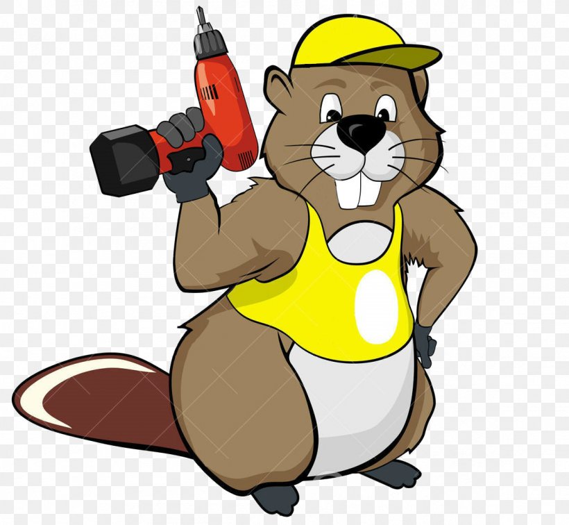 Beaver - Eurasian Beaver Drawing Cartoon PNG