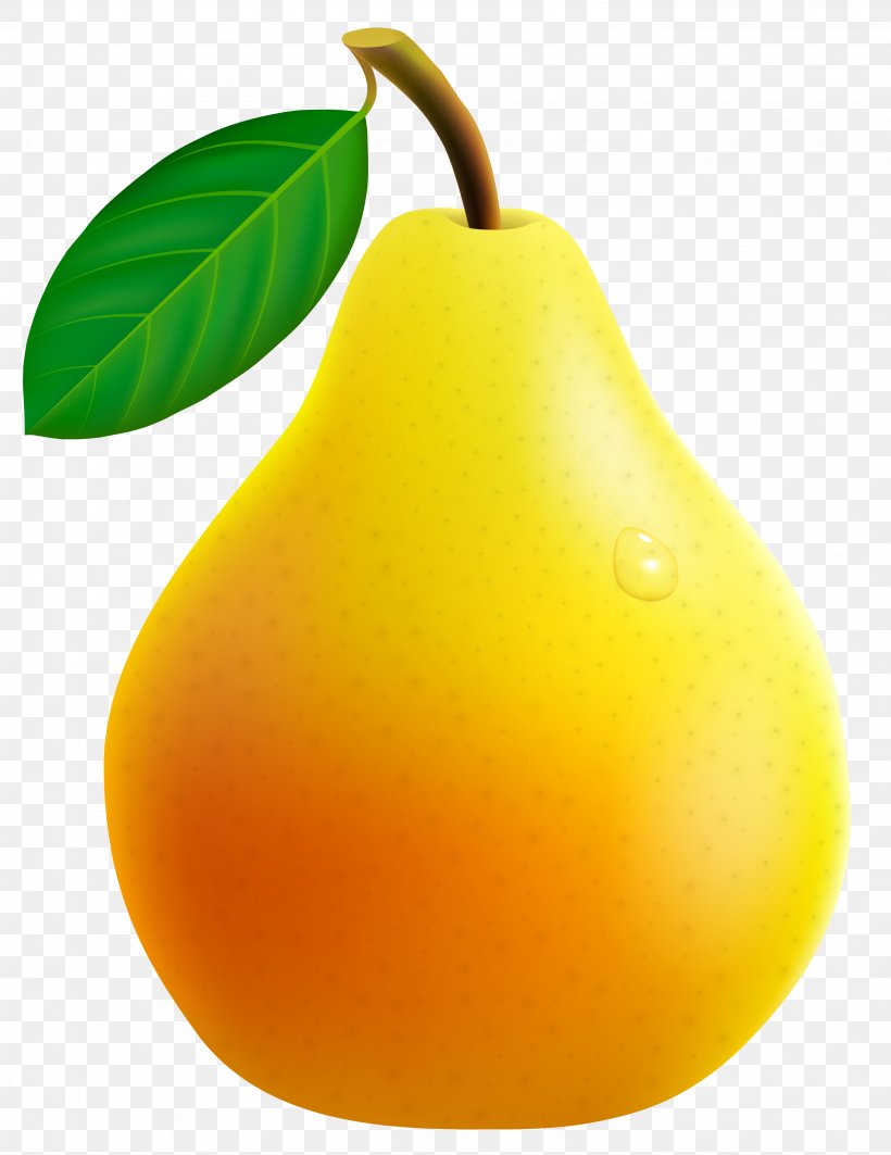 Pear Fruit Clip Art, PNG, 2761x3581px, Pear, Food, Fruit, Fruit Tree, Natural Foods Download Free