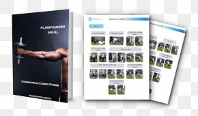 Fitness Program - Toning Exercises Pilates Abdominal Exercise Training PNG