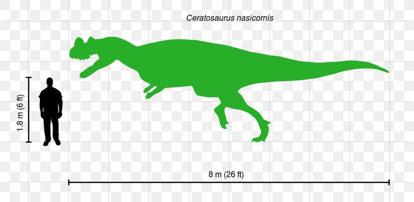 Ceratosaurus Allosaurus Carnotaurus Tyrannosaurus Morrison Formation, PNG, 800x400px, Ceratosaurus, Allosaurus, Area, Carnotaurus, Dilophosaurus Download Free