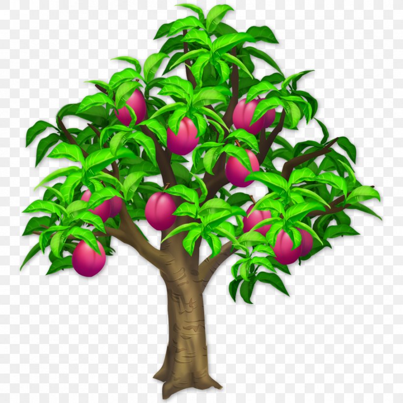 Clip Art Tree Shrub Pruning Plum, PNG, 905x905px, Tree, Branch, Cacao Tree, Cherries, Evergreen Download Free
