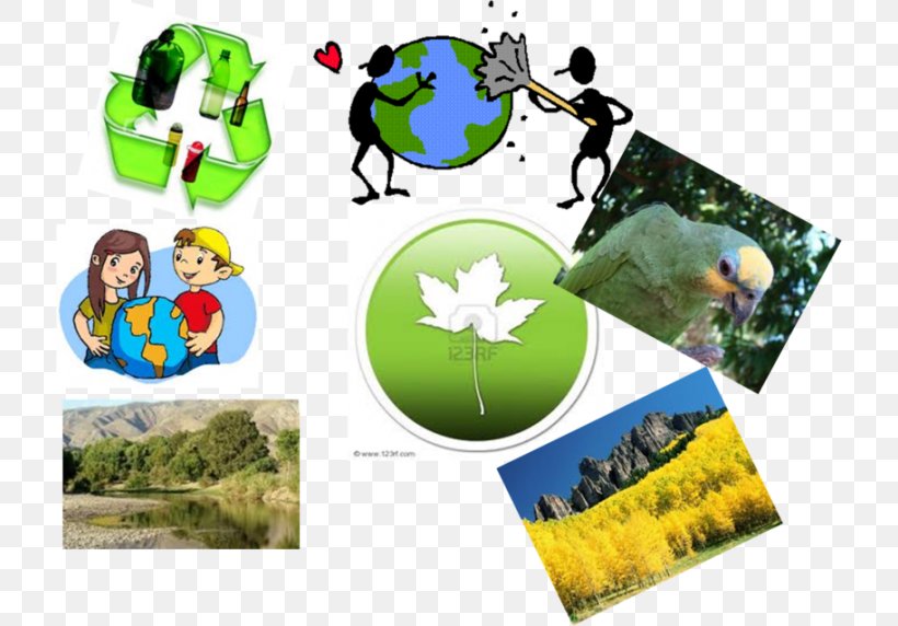 Natural resources sustainable and friendly consumption .Scene with  environmental forest, livestock, water and land usage illustration.flat  vector illu Stock Vector Image & Art - Alamy