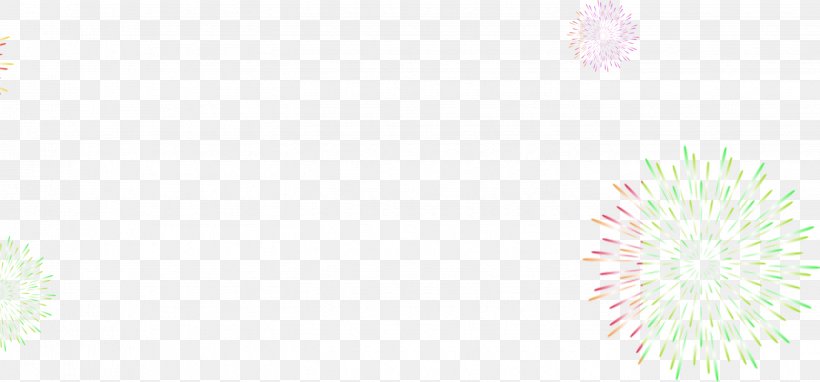 Fireworks Firecracker Image, PNG, 2853x1331px, Fireworks, Festival, Firecracker, Floral Design, Flower Download Free