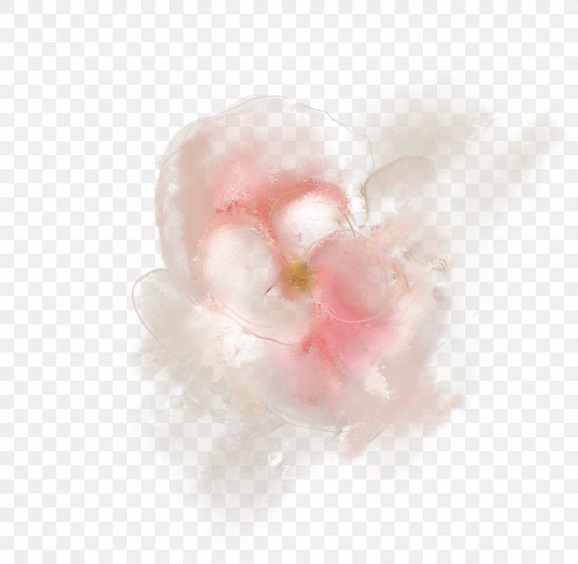 Petal Pink M, PNG, 1935x1889px, Petal, Peach, Pink, Pink M Download Free