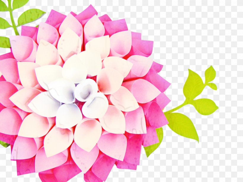 Pink Flower Cartoon, PNG, 1598x1199px, Floral Design, Bouquet, Cornales, Cut Flowers, Dahlia Download Free