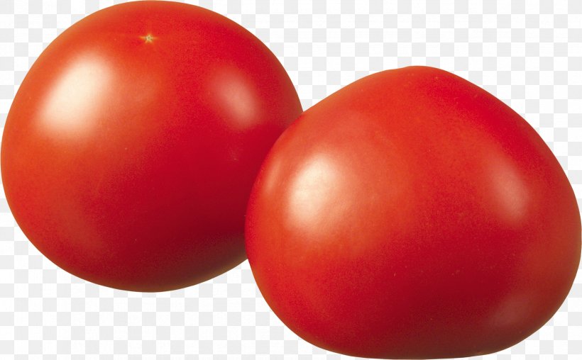 Plum Tomato Tomato Juice Bush Tomato, PNG, 2348x1457px, Tomato, Bush Tomato, Food, Fruit, Genus Download Free