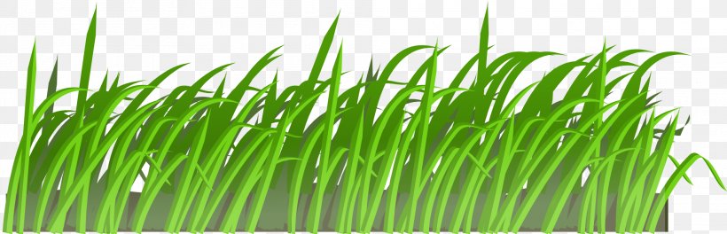 Lawn Clip Art, PNG, 1979x638px, Lawn, Chrysopogon Zizanioides, Color, Commodity, Drawing Download Free