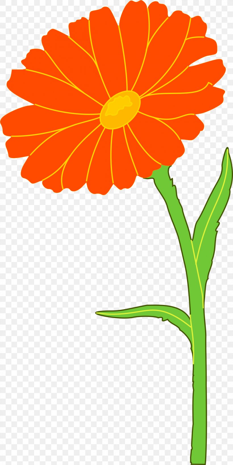 Mexican Marigold Calendula Officinalis Flower Clip Art, PNG, 1205x2400px, Mexican Marigold, Artwork, Calendula, Calendula Officinalis, Chrysanths Download Free