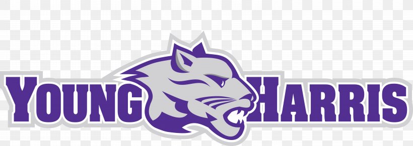 Young Harris College Mountain Lions Women's Basketball Young Harris College Mountain Lions Men's Basketball Hayesville, PNG, 6011x2136px, Young Harris College, Alumnus, Brand, College, Fictional Character Download Free