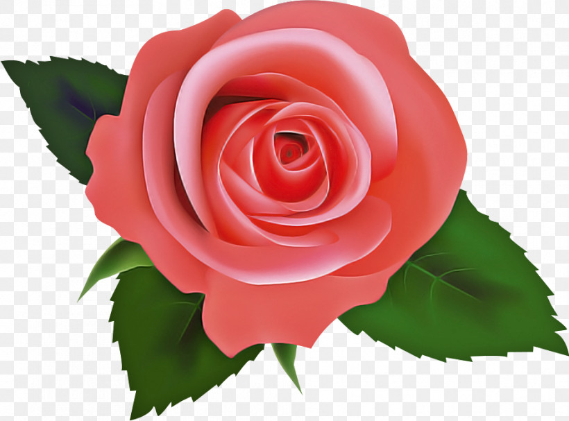 One Flower One Rose Valentines Day, PNG, 933x691px, One Flower, Annual Plant, Artificial Flower, Camellia, China Rose Download Free