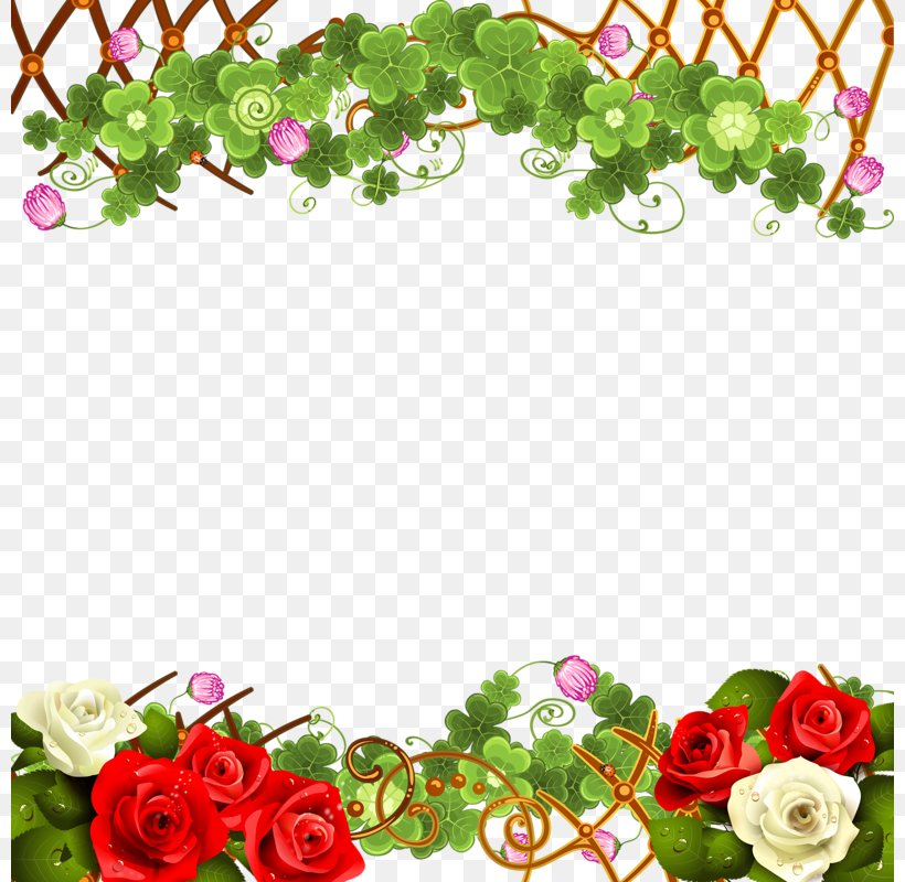 Paper Rosa Chinensis Flower Garden Roses, PNG, 800x800px, Paper, Border, Cut Flowers, Flora, Floral Design Download Free