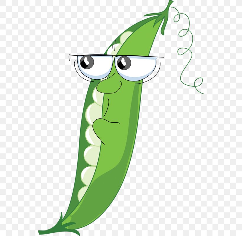 Snow Pea Vegetable Clip Art, PNG, 562x800px, Snow Pea, Area, Artwork, Bean, Cartoon Download Free