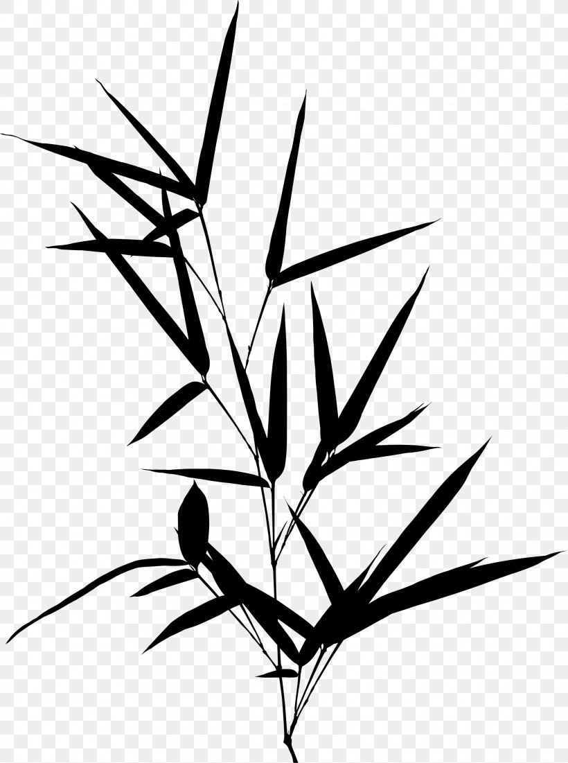 Twig Clip Art Symmetry Plant Stem Leaf, PNG, 2273x3053px, Twig, Art, Blackandwhite, Botany, Branch Download Free