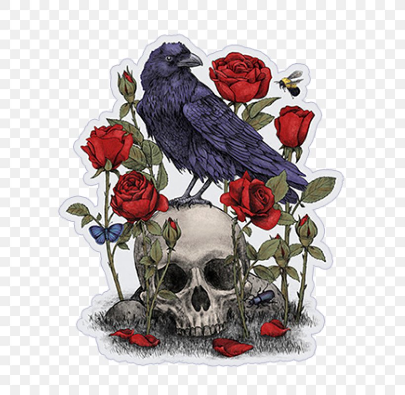 Memento Mori Artist Canvas, PNG, 800x800px, Memento Mori, Art, Artist, Bird, Bone Download Free