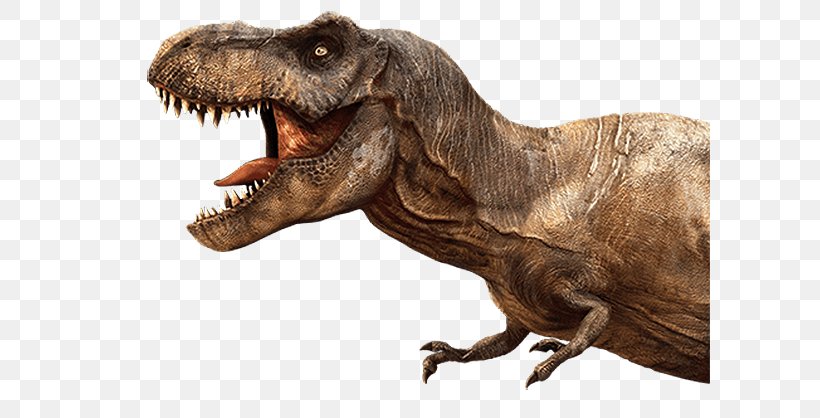 Tyrannosaurus Zoo Tycoon: Dinosaur Digs Velociraptor Allosaurus Spinosaurus, PNG, 600x418px, Tyrannosaurus, Allosaurus, Arm, Dilophosaurus, Dinosaur Download Free